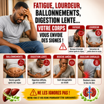 Charger l'image dans la galerie, 🍵 PACK DÉTOX VITALITÉ — FOIE + REIN + ÉQUILIBRE DU CORPS
