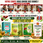 Charger l'image dans la galerie, 🍵 PACK DÉTOX VITALITÉ — FOIE + REIN + ÉQUILIBRE DU CORPS
