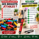Charger l'image dans la galerie, BRIQUET ÉLECTRIQUE RECHARGEABLE À COL FLEXIBLE 🔥
