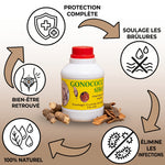 Charger l'image dans la galerie, 🔥 GONOCOCCI SIROOP™ – Brûlures Urinaires, Picotements et Douleurs ? Découvrez Notre Formule Naturelle pour le Confort Urinaire !
