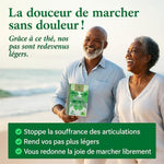 Charger l'image dans la galerie, DOULEURS AUX PIEDS, GENOUX, DOIGTS ? ÉLIMINEZ L’ACIDE URIQUE ET MARCHEZ ENFIN SANS SOUFFRIR
